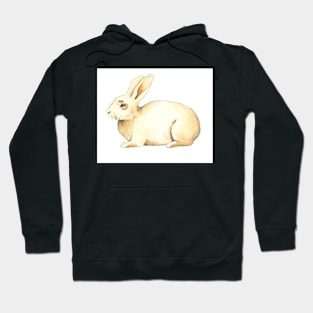 Bunny Hoodie